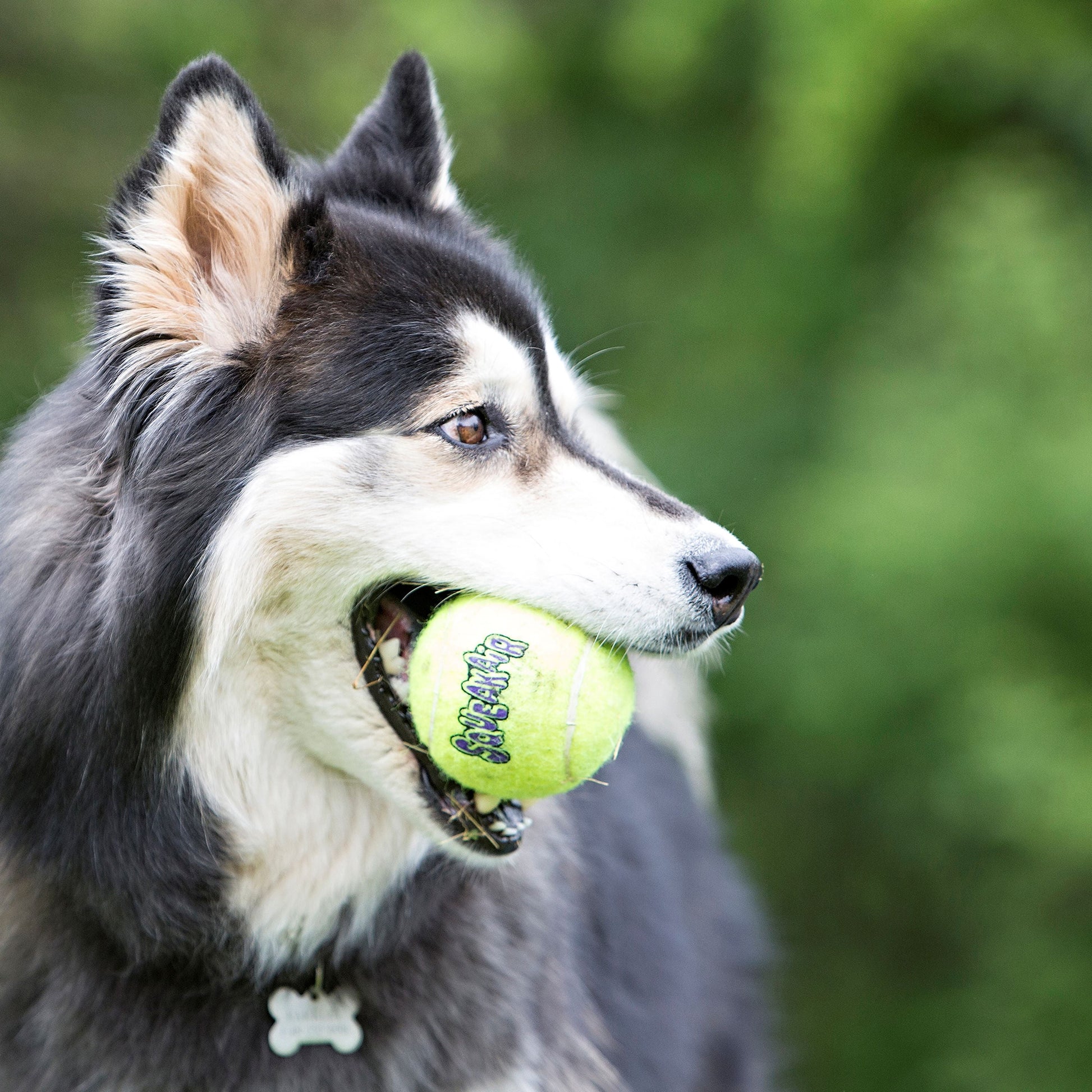 ® Squeakair® Balls Medium
